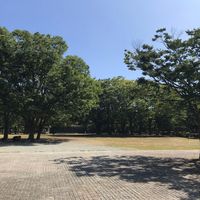 茅ヶ崎市 中央公園(第一カッターきいろ公園) - 投稿画像2