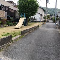 修学院緑地 - 投稿画像3