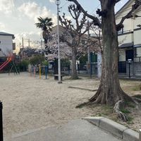 岡町北公園 - 投稿画像1