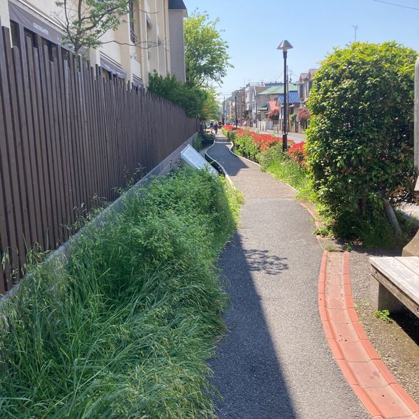 江川せせらぎ遊歩道 - おすすめ画像