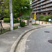 上山田公園 - 投稿画像1