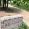 桑園ふれあい公園 - トップ画像