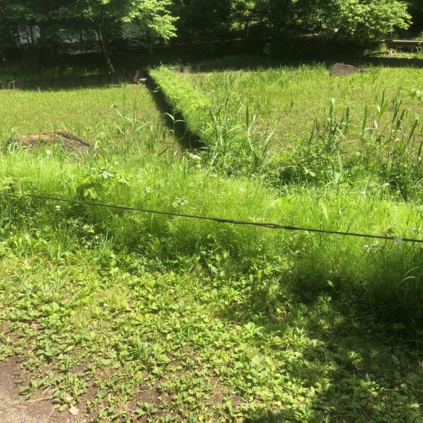 四季の森公園 水車小屋 - トップ画像
