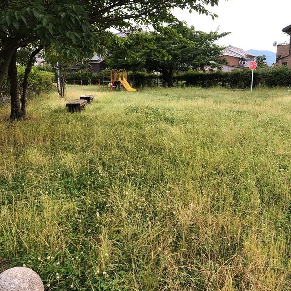 曲川児童公園 - おすすめ画像