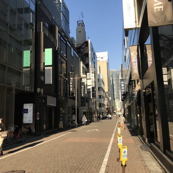 Ginza-Renga-dori St. (Ginza 1-4 Chome) - トップ画像