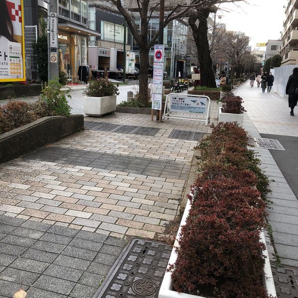 九品仏川緑道 - トップ画像