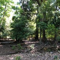 大吉山風致公園 - 投稿画像2