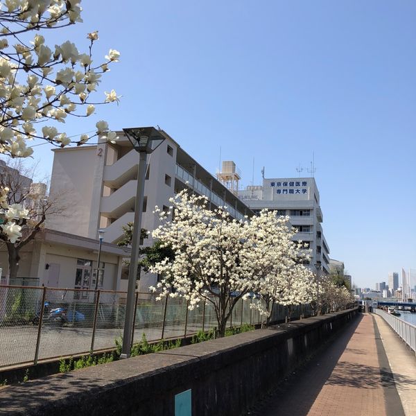 汐浜運河 - トップ画像