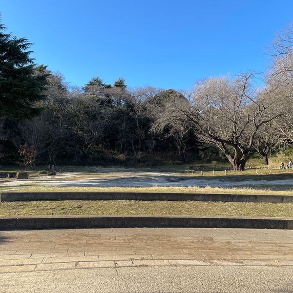 三ツ池公園 里の広場 - トップ画像