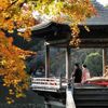 3つの池と浮御堂（成田山公園） - トップ画像
