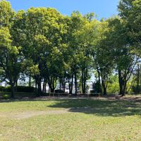 高野公園 - 投稿画像2