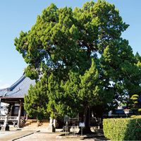 聖運寺（ショウウンジ） - 投稿画像1