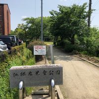 大堀第2公園 - 投稿画像0
