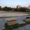 大新公園 - トップ画像