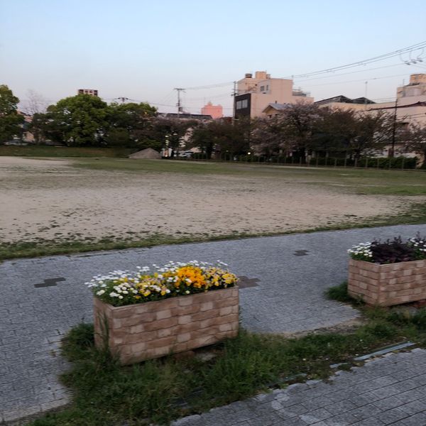 大新公園 - トップ画像