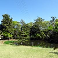 秋葉公園 - 投稿画像0