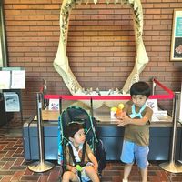 埼玉県立自然の博物館 - 投稿画像1