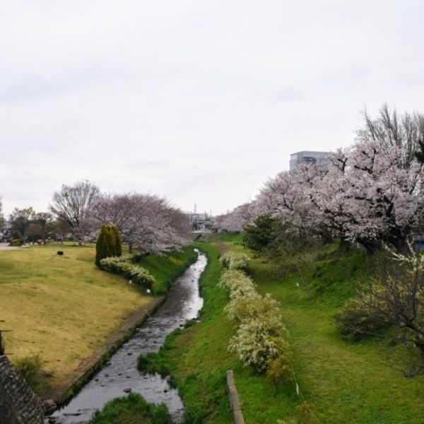 相模三川公園 - おすすめ画像