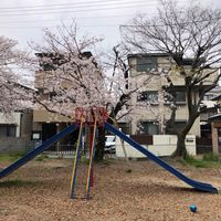 御代開公園 - 投稿画像3