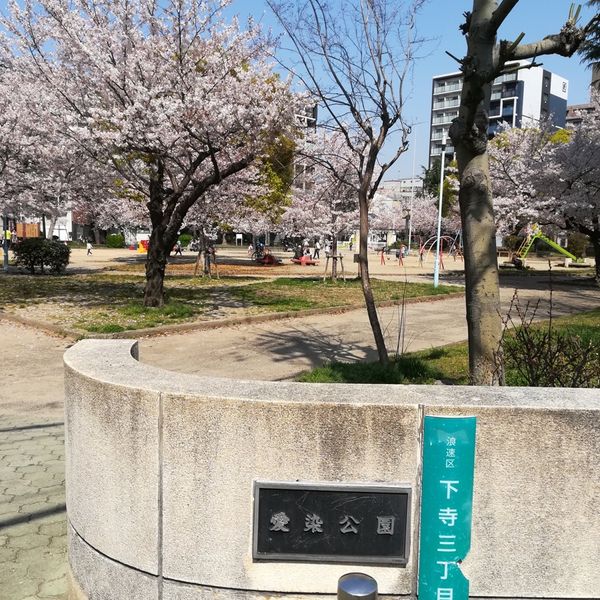 愛染 - トップ画像