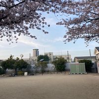 吹一公園 - 投稿画像0