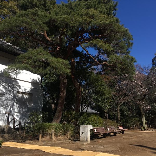 哲学堂公園 - おすすめ画像