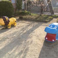小泉河原第1号児童公園 - 投稿画像1