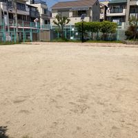 新いずみ公園 - 投稿画像1
