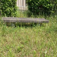 横井第4号街区公園 - 投稿画像1