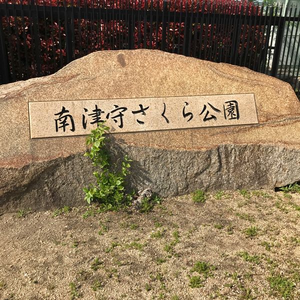 南津守さくら - トップ画像