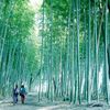 木曽川渡し場遊歩道(かぐや姫の散歩道) - トップ画像