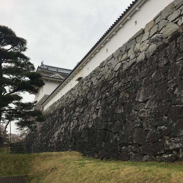 霞ヶ城公園 - トップ画像