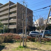 古隅田なかよし公園 - 投稿画像3