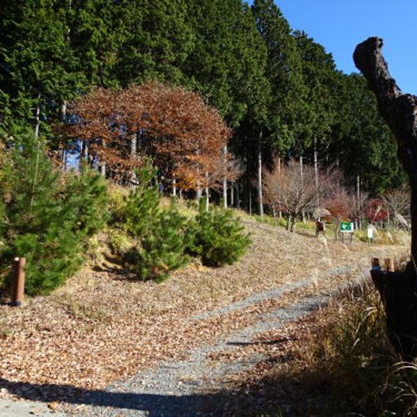 亀山城址 - おすすめ画像