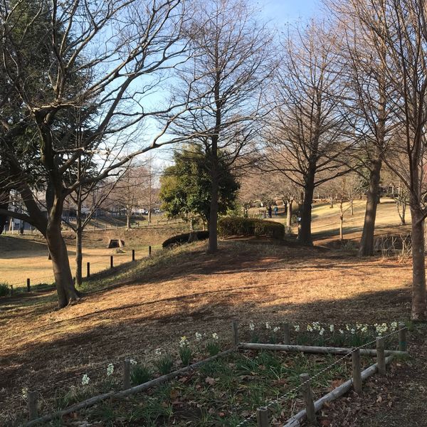 中原ふれあい防災公園 - トップ画像