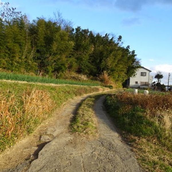 富木島町十二塚 - おすすめ画像