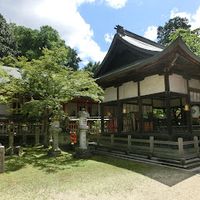 手向山八幡宮 - 投稿画像3