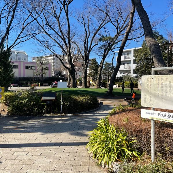 世田谷新町公園 - トップ画像