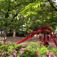 西向日公園 - 投稿画像1