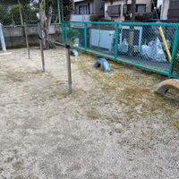 川田山田 - 投稿画像1