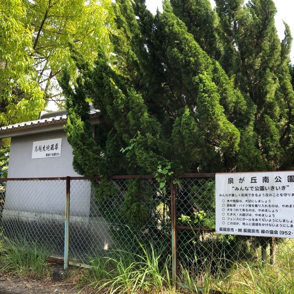 泉が丘南公園 - おすすめ画像