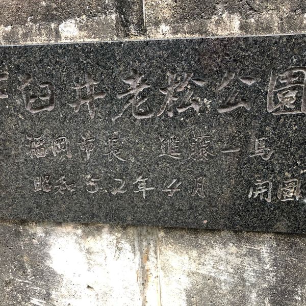 下臼井老松公園 - トップ画像