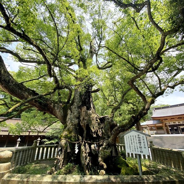 Oyamazumi Jinja - おすすめ画像