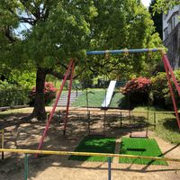 須留児童公園 - 投稿画像3