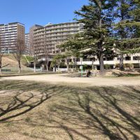 さつき公園 - 投稿画像1