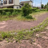 横井第6号街区公園 - 投稿画像3