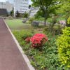 海岸町2丁目公園 - トップ画像