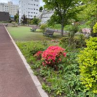 海岸町2丁目公園 - 投稿画像0