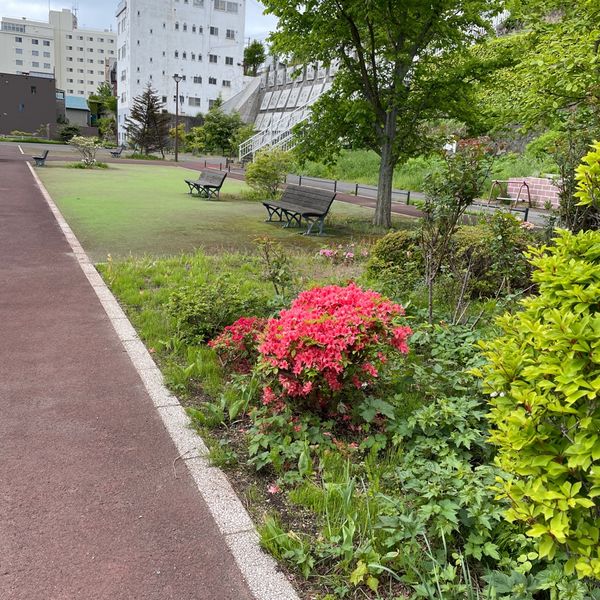 海岸町2丁目公園 - おすすめ画像