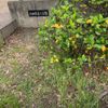 山田西第1公園 - トップ画像